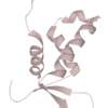 FOX04-DRI 10mg (Proxofim)